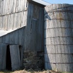 grey-barn-board6
